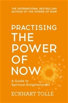 Eckhardt Tolle, Eckhart Tolle - Practising the Power of Now