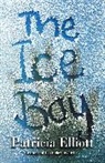 Patricia Elliott - The Ice Boy