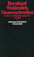 Bernhard Waldenfels - Sinnesschwellen