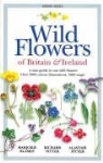 Marjorie Blamey, Mayorie Blamey - Wild Flowers of England