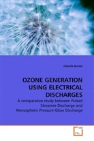 Zolkafle Buntat - OZONE GENERATION USING ELECTRICAL DISCHARGES