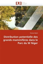 Thomas Rabeil, Rabeil-T - Distribution potentielle des