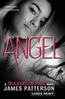 James Patterson - Angel