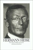 Volker Michels - Hermann Hesse