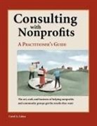 Carol Lukas, Carol A. Lukas, Vincent Hyman - Consulting With Nonprofits