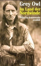 Grey Owl, Wäscha-kwonnesin - Im Land der Nordwinde