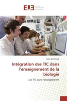 Fathi MATOUSSI, Matoussi-F - Integration des tic dans l