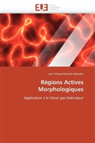 Juan Manuel Rendón-Mancha, Rendon-Mancha-J - Regions actives morphologiques