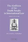 William Schabas, William A. Schabas - Absolution of the Death Penalty in International Law