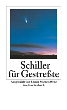 Friedrich Schiller, Friedrich von Schiller, Ursul Michels-Wenz, Ursula Michels-Wenz - Schiller für Gestreßte