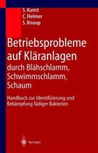 Helmer, C Helmer, C. Helmer, Christine Helmer, S Knoop, S. Knoop... - Betriebsprobleme auf Kläranlagen durch Blähschlamm, Schwimmschlamm, Schaum