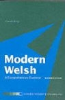 Gareth King - Modern Welsh