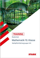 Angere, Susann Angerer, Susanne Angerer, Steiner, Dietmar Steiner, Susanne Angerer Dietmar Stein - STARK Mathematik II/III 10. Klasse - Training Realschule - Grundwissen, Aufgaben und Lösungen