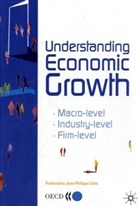 Publishing Oecd Publishing, OECD: Organisation for Economic Co-operation and Development, Organisation for Cooperation and Develop, Organisation for Economic Co-Operation and Develop, Organization for Economic Cooperation &amp;, Michael Sykes - Understanding Economic Growth