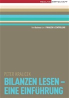 Kralicek, Peter Kralicek - Bilanzen lesen, eine Einführung