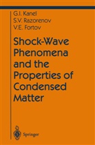 V. E. Fortov, Vladi Fortov, Vladimir E Fortov, Vladimir E. Fortov, Gennady Kanel, Gennady I Kanel... - Shock-Wave Phenomena and the Properties of Condensed Matter
