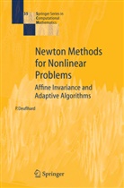 Peter Deuflhard - Newton Methods for Nonlinear Problems