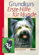 Axel Bogitzky - Grundkurs Erste Hilfe für den Hund