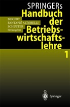 Claudia Fantapié Altobelli, Ralph Berndt, Claudi Fantapie Altobelli, Claudia Fantapie Altobelli, Claudia Fantapié Altobelli, Peter Schuster - Springers Handbuch der Betriebwirtschaftslehre. Bd.1