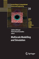 S. Attinger, Sabin Attinger, Sabine Attinger, Koumoutsakos, Koumoutsakos, P. Koumoutsakos... - Multiscale Modelling and Simulation