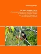 Hermann Döttlinger - The Black Shaheen Falcon (Falco peregrinus peregrinator SUNDEVALL 1837), its morphology, geographic