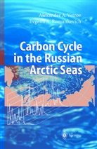 E. A. Romankevich, Evgenii A. Romankevich, Evgeny Romankevich, A. A. Vetrov, Alexande Vetrov, Alexander Vetrov... - Carbon Cycle in the Russian Arctic Seas