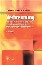 R. W. Dibble, Robert W. Dibble, U. Maas, Ulrich Maas, J. Warnatz, Jürgen Warnatz - Verbrennung
