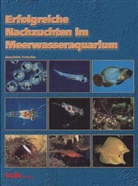 Joachim Frische - Erfolgreiche Nachzuchten im Meerwasseraquarium
