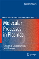 Y. Itikawa, Yukikazu Itikawa - Molecular Processes in Plasmas
