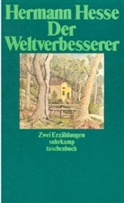 Hermann Hesse - Der Weltverbesserer. Doktor Knölges Ende