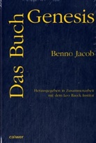 Benno Jacob, Leo Baeck Institut, Shlomo Mayer - Das Buch Genesis