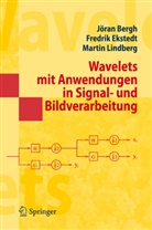 Jöra Bergh, Jöran Bergh, Fredri Ekstedt, Fredrik Ekstedt, Martin Lindberg - Wavelets mit Anwendungen in Signal- und Bildverarbeitung