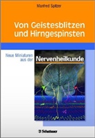 Manfred Spitzer - Von Geistesblitzen und Hirngespinsten