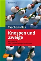 Bernd Schulz - Taschenatlas Knospen und Zweige