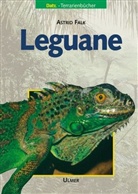 Astrid Falk - Leguane