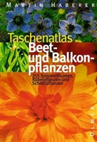 Martin Haberer - Taschenatlas Beet- und Balkonpflanzen