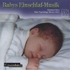 Reinhard Horn, Werner Horn - Babys Einschlaf-Musik, 1 Audio-CD (Audio book)
