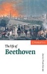 David 9yn Jones, David Wyn Jones, David Wyn Jones - The Life of Beethoven