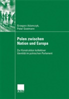 Gregor Adamczyk, Grzegor Adamczyk, Grzegorz Adamczyk, Peter Gostmann - Polen zwischen Nation und Europa