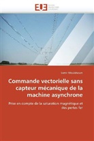 Samir Moulahoum, Moulahoum-S - Commande vectorielle sans capteur