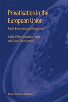 Judit Clifton, Judith Clifton, Francisco Comin, Francisc Comín, Francisco Comín, Daniel Diaz Fuentes... - Privatisation in the European Union