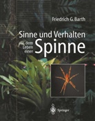 Friedrich G Barth, Friedrich G. Barth - Sinne und Verhalten: aus dem Leben einer Spinne