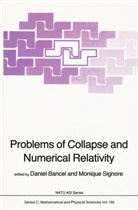 Bancel, D Bancel, D. Bancel, Signore, Signore, M. Signore - Problems of Collapse and Numerical Relativity