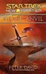 Peter David - Stone and Anvil