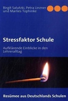 Linzne, Petra Linzner, Salutzk, Birgit Salutzki, Tophinke, Marlies Tophinke - Stressfaktor Schule