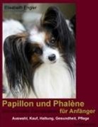 Elisabeth Engler - Papillon und Phalène (Kontinentaler Zwergspaniel) für Anfänger