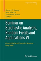 Robert Dalang, Robert C. Dalang, Marc Dozzi, Marco Dozzi, Francesco Russo - Seminar on Stochastic Analysis, Random Fields and Applications VI