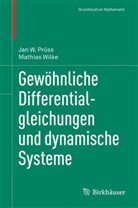 Jan Prüss, Jan W. Prüss, Mathias Wilke - Gewöhnliche Differentialgleichungen und dynamische Systeme