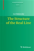 Lev Bukovsky, Lev Bukovský - The Structure of the Real Line