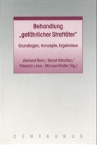 Friedrich Lösel, Friedrich Lösel u a, Gerhard Rehn, Michael Walter, Bern Wischka, Bernd Wischka - Behandlung 'gefährlicher Straftäter'
